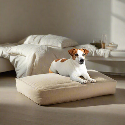 I.PET CALMING PET BED (LG) - NickAlly