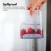 Airtight Food Storage Containers