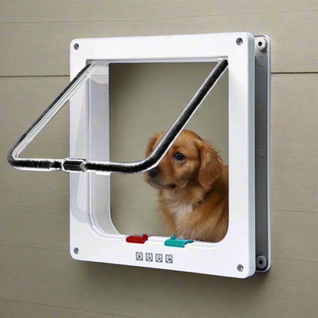 Small dog looking through a transparent pet door with manual lock controls, installed on a wall.