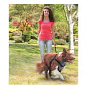 Dog Car Harness for Safe Travel and Comfort NickAlly - NickAlly