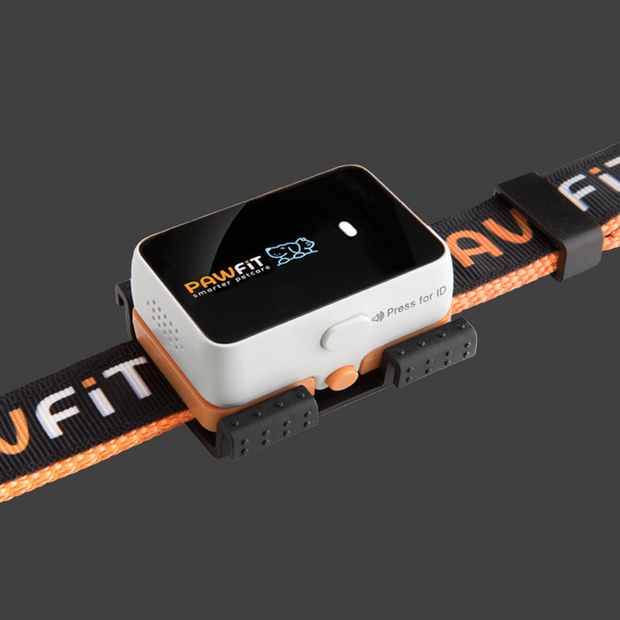 GPS Dog Collar for Reliable Pet Tracking NickAlly - NickAlly