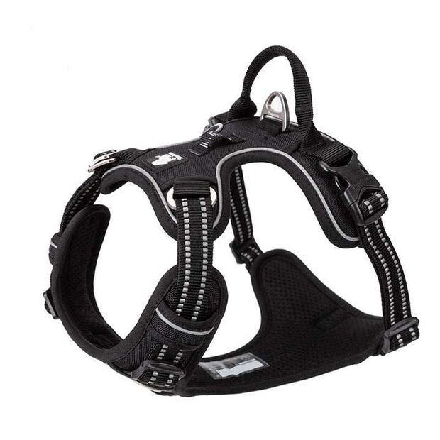 Medium No Pull Dog Harness with Adjustable Straps - NickAlly