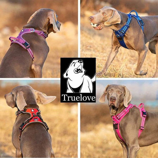No Pull Dog Harness Adjustable Soft Vest XL - NickAlly